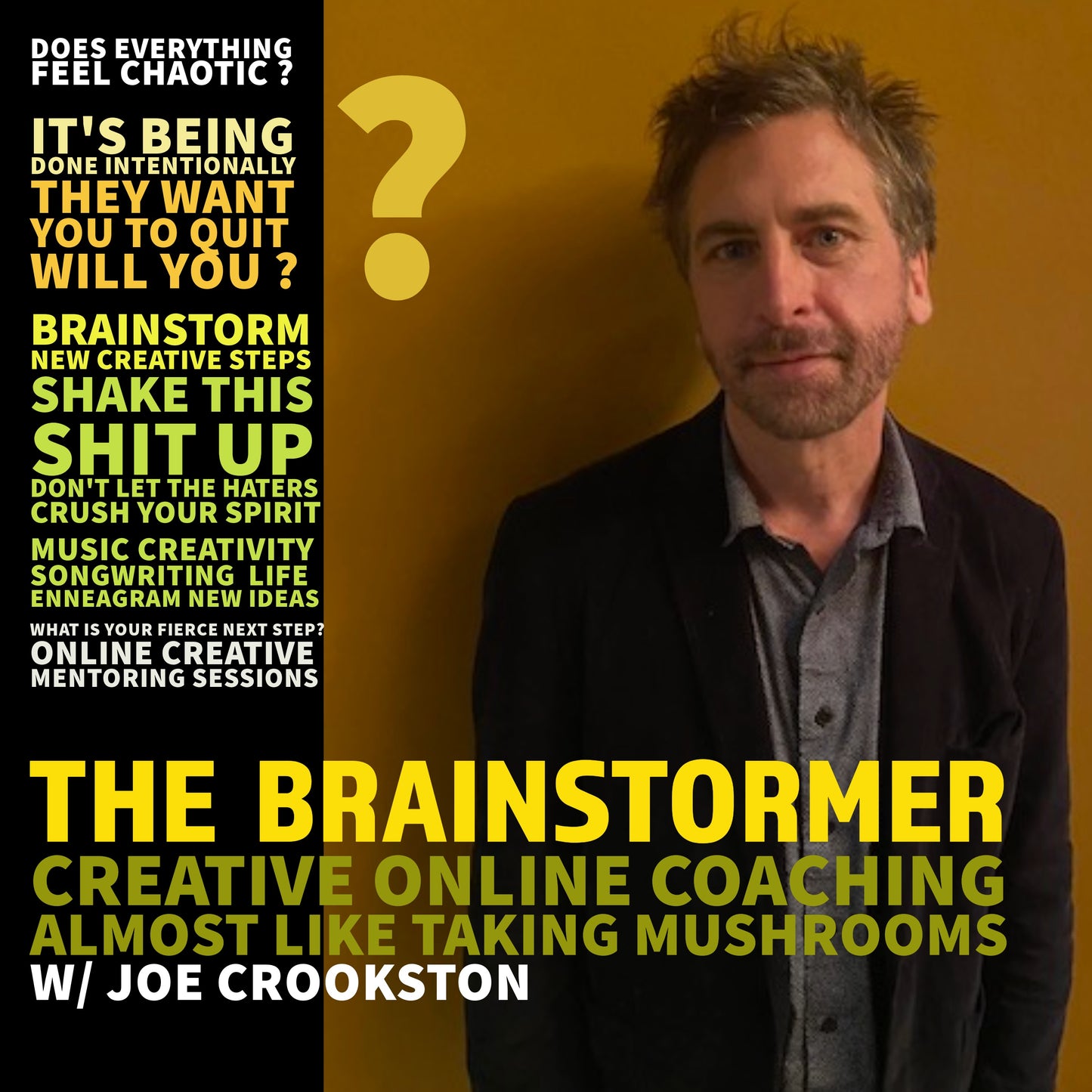 THE BRAINSTORMER.  ONLINE CREATIVITY MENTORING SESSIONS w/ JOE CROOKSTON